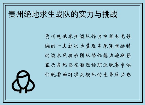 贵州绝地求生战队的实力与挑战